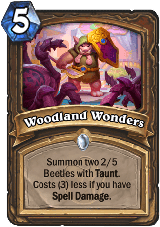 Woodland Wonders