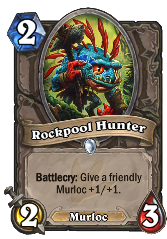 Rockpool Hunter