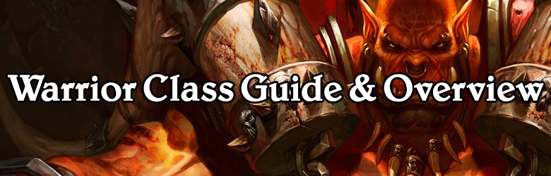 class-overview-warrior