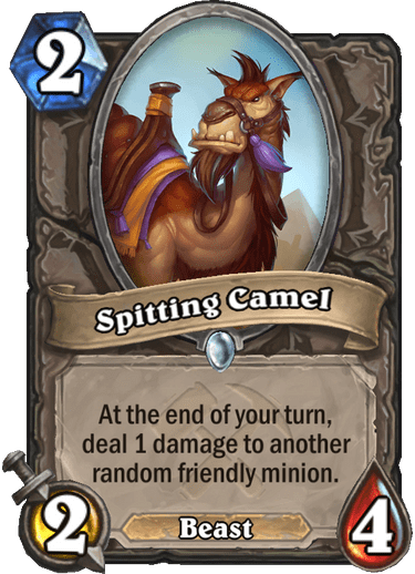 Spitting Camel