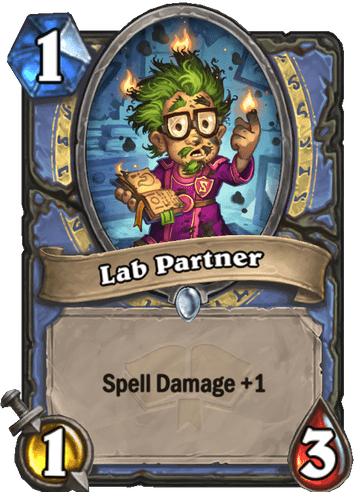 Lab Partner
