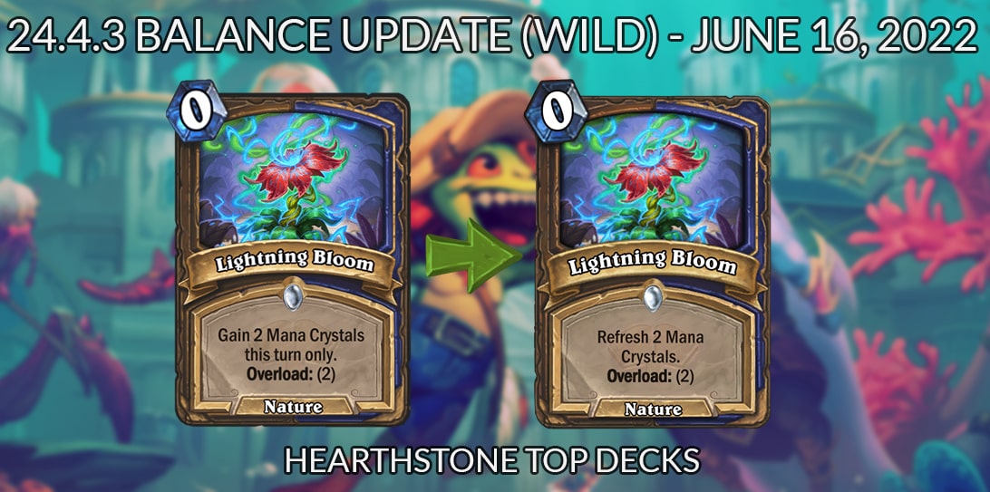 24-4-3-balance-update-wild-min