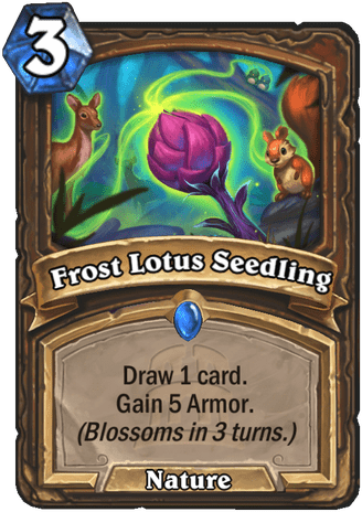 Frost Lotus Seedling