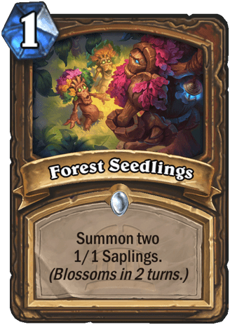 Forest Seedlings