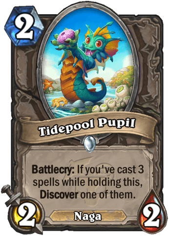 Tidepool Pupil