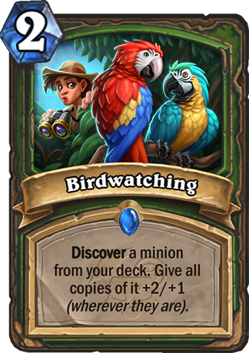 Birdwatching