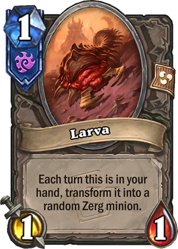Larva