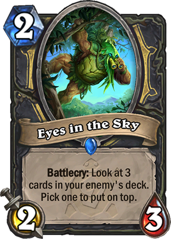Eyes in the Sky