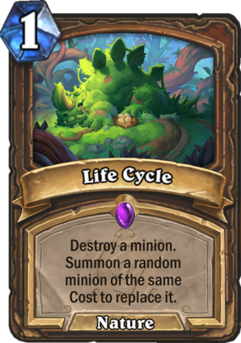 Life Cycle